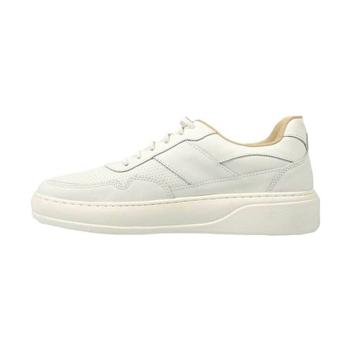 Zapatilla Hombre Ansopaz Urbana Cuero Cocido Moda Cord Elast